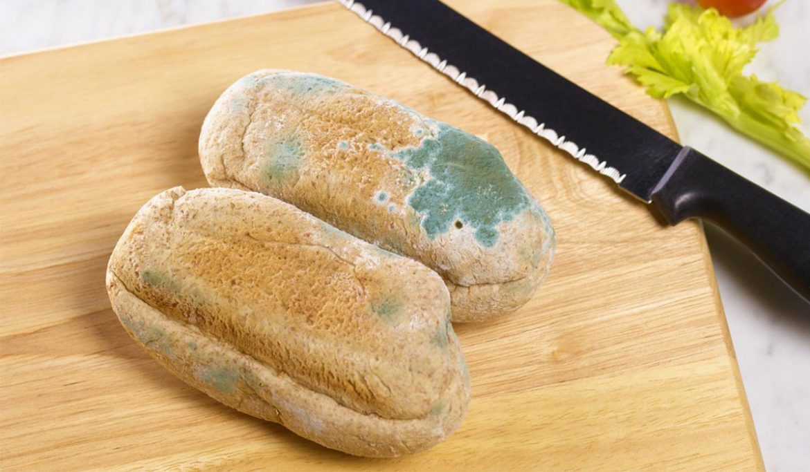 ماذا يحصل لجسمك إذا تناولت الخبز "المتعفن"؟