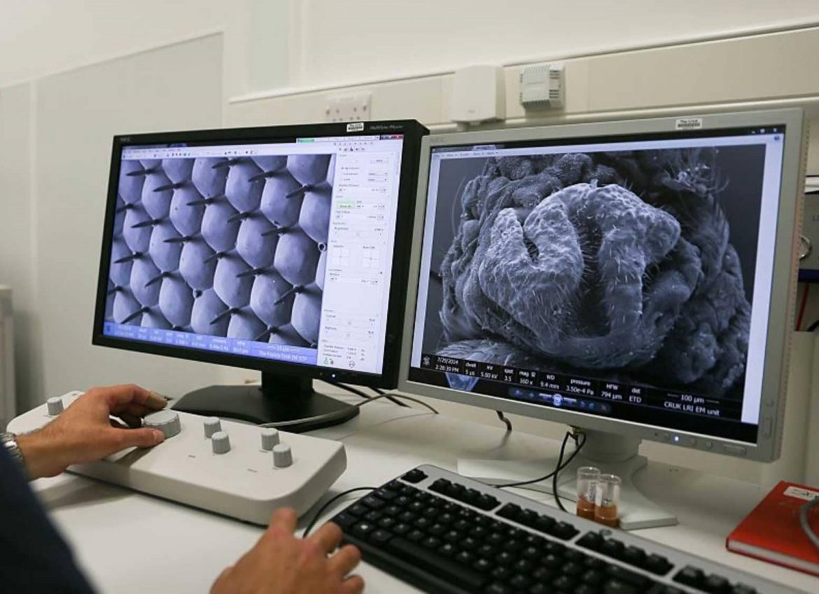 عملية "تعديل جيني" أولى داخل الجسد